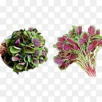 食物红苋菜时令蔬菜-空若网 食物红苋菜时令蔬菜-空若网