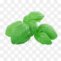 ��ɫ����-������