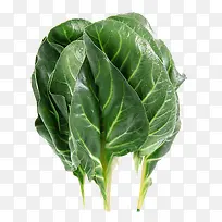 ��ɫ����-������