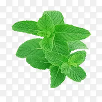 青色蔬菜-空若网 青色蔬菜-空若网