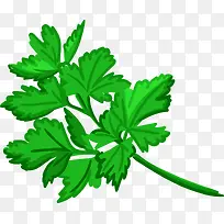 绿色芹菜-空若网 绿色芹菜-空若网