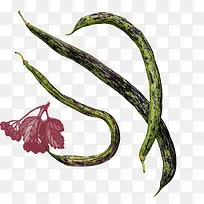 四季豆长豆角-空若网 四季豆长豆角-空若网