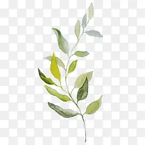 ��֦װ���ز�ͼ��-������