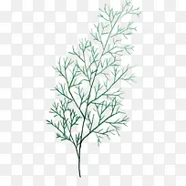 Ê÷֦װÊÎËØ²Äͼ°¸-¿ÕÈôÍø Ê÷֦װÊÎËØ²Äͼ°¸-¿ÕÈôÍø