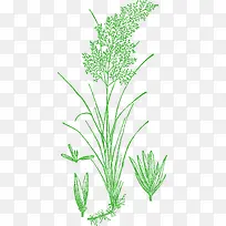 手绘的装饰假花假草-空若网 手绘的装饰假花假草-空若网