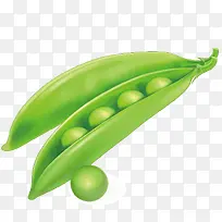 �ֻ�����߲��ز�-������