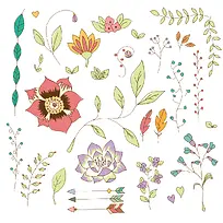 ��Ȼ�ֻ�Ԫ����Ҷ-������