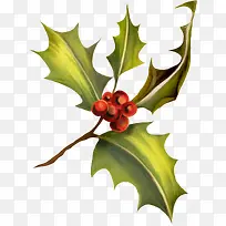 树枝果实-空若网 树枝果实-空若网