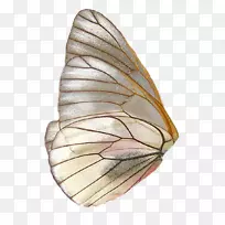 ������?Se-������