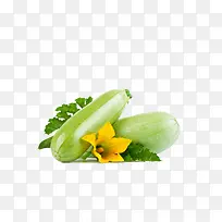 西葫芦-空若网 西葫芦-空若网