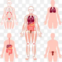 �����������ϵͳʸ���ز�-������