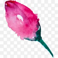 水彩花朵-空若网 水彩花朵-空若网