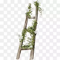 阶梯木楼梯-空若网 阶梯木楼梯-空若网