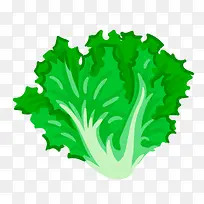 ¿¨Í¨ÊÖ»æÂÌÉ«µÄÉú²ËÒ¶-¿ÕÈôÍø ¿¨Í¨ÊÖ»æÂÌÉ«µÄÉú²ËÒ¶-¿ÕÈôÍø