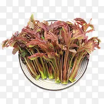 实物一盘新鲜蔬菜香椿-空若网 实物一盘新鲜蔬菜香椿-空若网