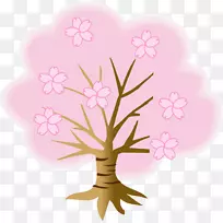 樱花菊花-空若网 樱花菊花-空若网