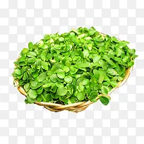 �㴻��-������