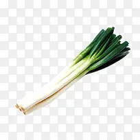 ��ɫ����߲���ʳ-������