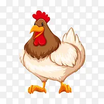 公鸡-空若网 公鸡-空若网