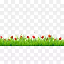 梅索纳剪贴画-草-空若网 梅索纳剪贴画-草-空若网