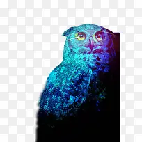 èͷӥ�廭-������