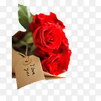 花之爱恋-空若网 花之爱恋-空若网