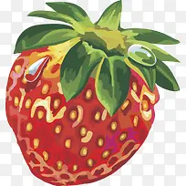 ˮ��ʸ��ͼ��ݮ-������