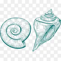 手绘海螺-空若网 手绘海螺-空若网