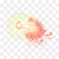 Adobe�̻�-�̻�-������