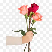 ��Ϧ���������˽�õ�廨-������