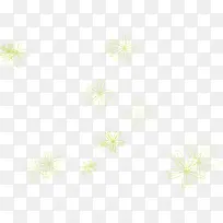 ��ɫ����Ư��-������