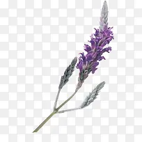 �쿪�ŵĻ���-������