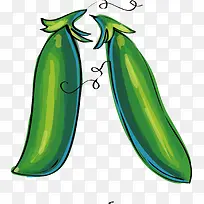 青色豌豆荚-空若网 青色豌豆荚-空若网