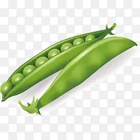 手绘蔬菜素材-空若网 手绘蔬菜素材-空若网