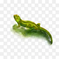 ��ɫ�ڻ�-������