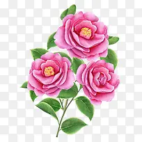 ��ͨ�ֻ�ۺ�ɫ��-������