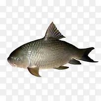 ���ز�ͼ-������