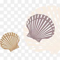 贝壳花纹-空若网 贝壳花纹-空若网