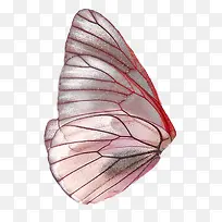 玫红色蝴蝶翅膀装饰图案-空若网 玫红色蝴蝶翅膀装饰图案-空若网