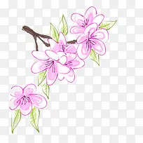 �ֻ濨ͨ��ɫ�һ�-������