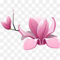 粉色花朵-空若网 粉色花朵-空若网