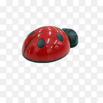 昆虫-空若网 昆虫-空若网