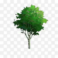 �����ֻ����-������