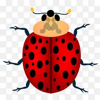 昆虫-空若网 昆虫-空若网