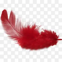 ºìÉ«Óðë-¿ÕÈôÍø ºìÉ«Óðë-¿ÕÈôÍø