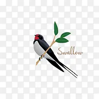 ��֦�ϵ����Ӽ�ͼ-������