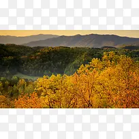 山峰树木黄叶树枝-空若网 山峰树木黄叶树枝-空若网