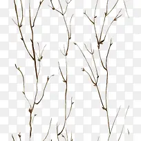 ¿ÝήµÄÊ÷Ö¦-¿ÕÈôÍø ¿ÝήµÄÊ÷Ö¦-¿ÕÈôÍø