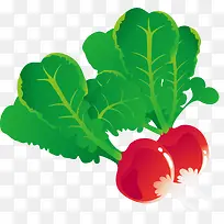 绿色蔬菜萝卜-空若网 绿色蔬菜萝卜-空若网