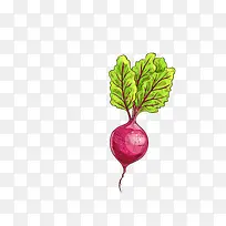 矢量卡通蔬菜水萝卜png-空若网 矢量卡通蔬菜水萝卜png-空若网